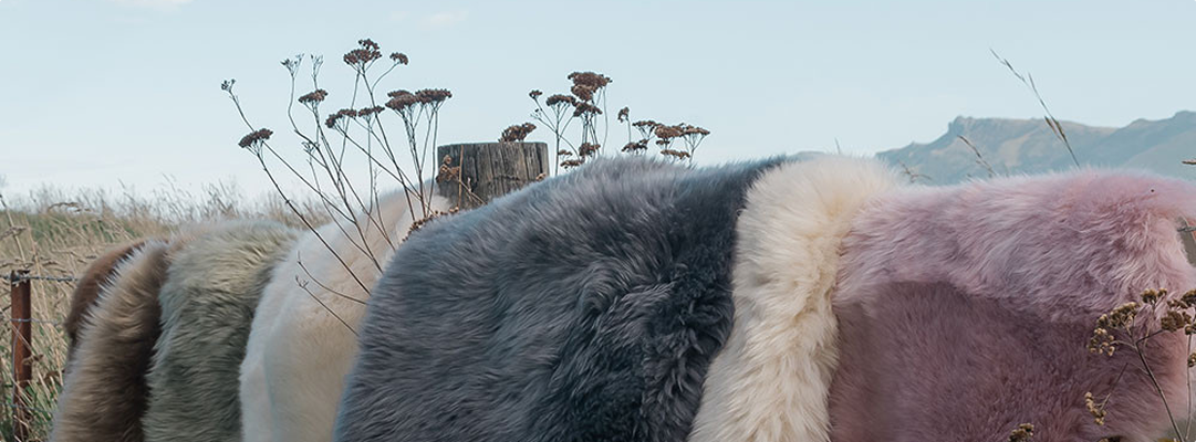Banner Image 1